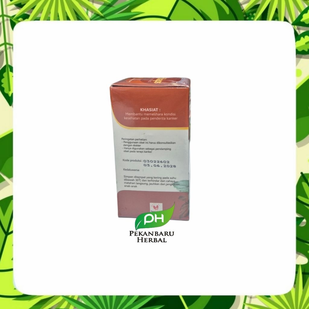 Kapsul Keladi Tikus Keladikaps Tazakka Buat Kangker Obat Kanker Ampuh Herbal Tazakka Original Halal 