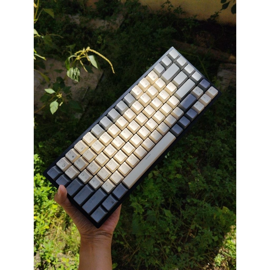 PRELOVED KEYBOARD REXUS DAXA M84 PRO