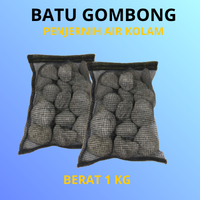 Batu Gombong Filter Kolam Penjernih Air Kolam Ikan Hias Koi