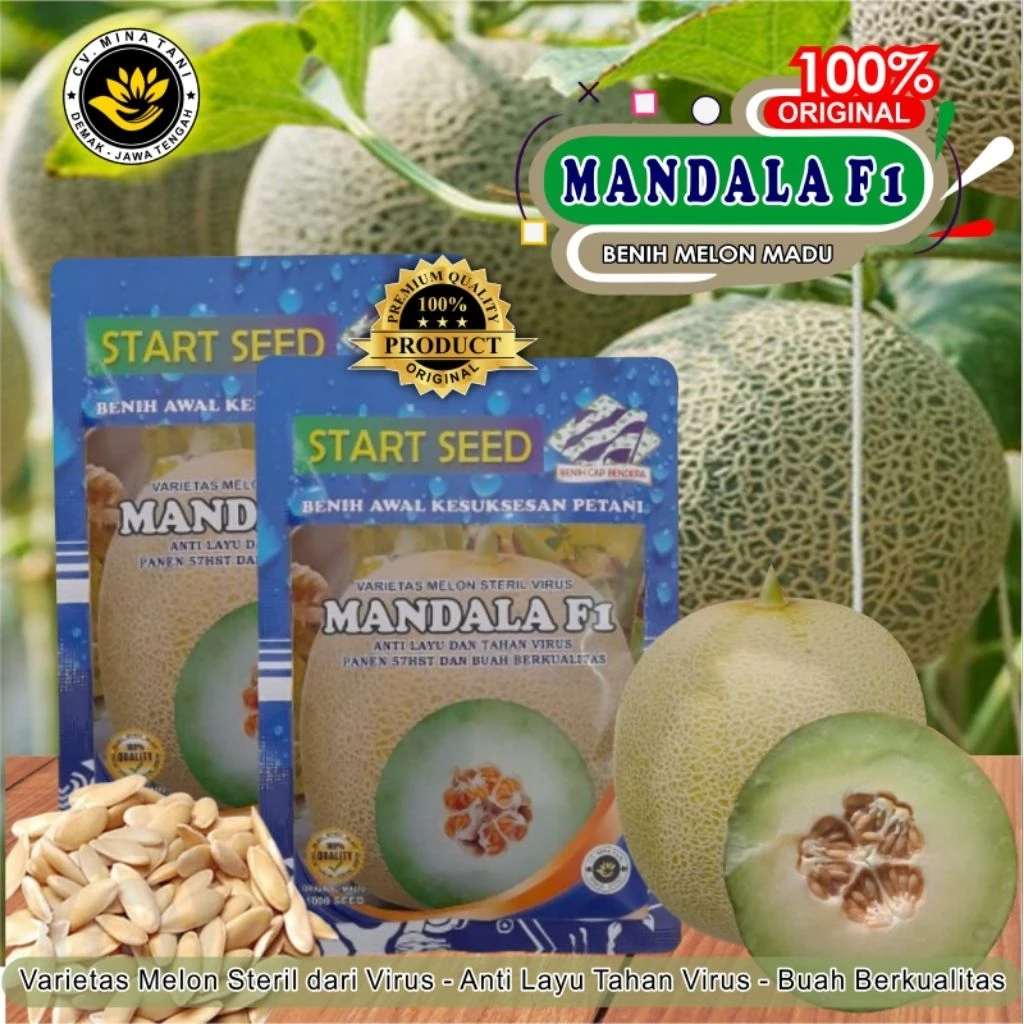 BIBIT MELON PREMIUM (MADU & OREN) MANDALA F1 & TOP WIN F1, isi 350 & 1000 butir 57 hari panen ORIGIN