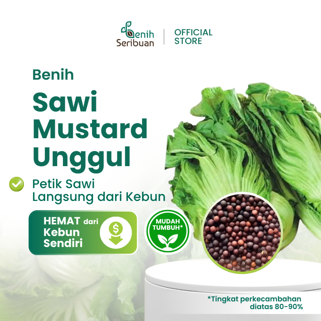 50 Bibit Sawi Mustard Head Lettuce Glory Benih Sayuran Pahit Known You Seed Tanaman Sayur Unggul