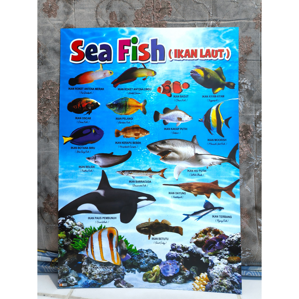Poster Hewan & Buah Anak TK SD – Edukasi Bergambar