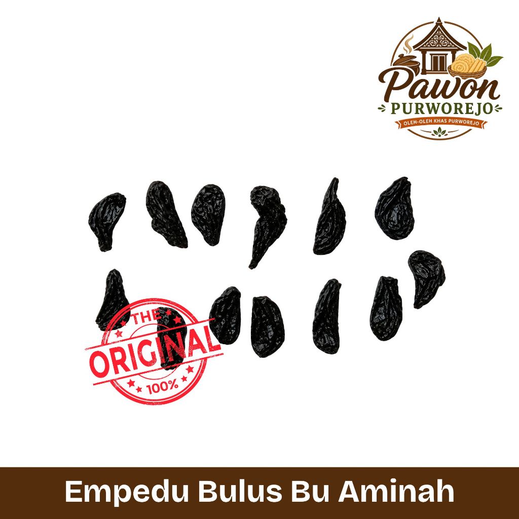 Empedu Bulus Asli Bu Aminah 10pcs Original Herbal