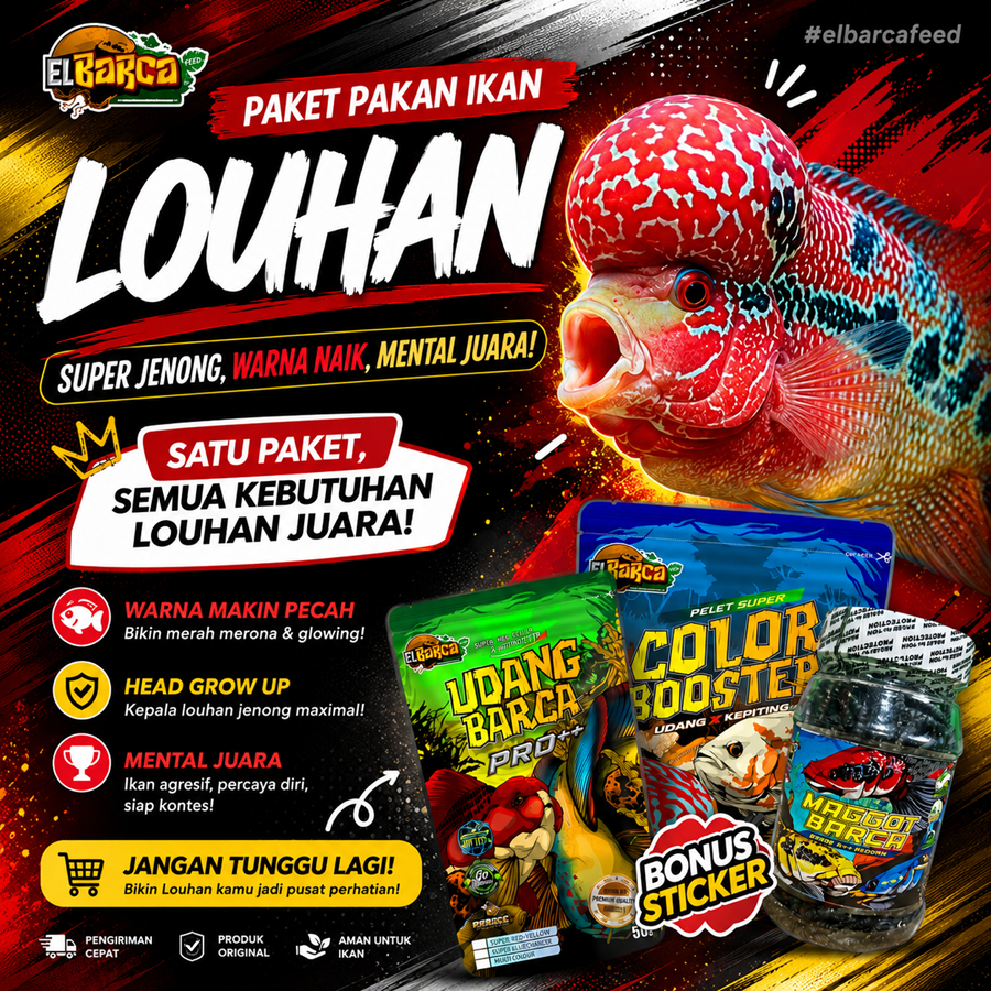 PAKET PAKAN IKAN LOUHAN, OSCAR Pakan Organik ikan Louhan optimalkan pertumbuhan, warna, mutiara