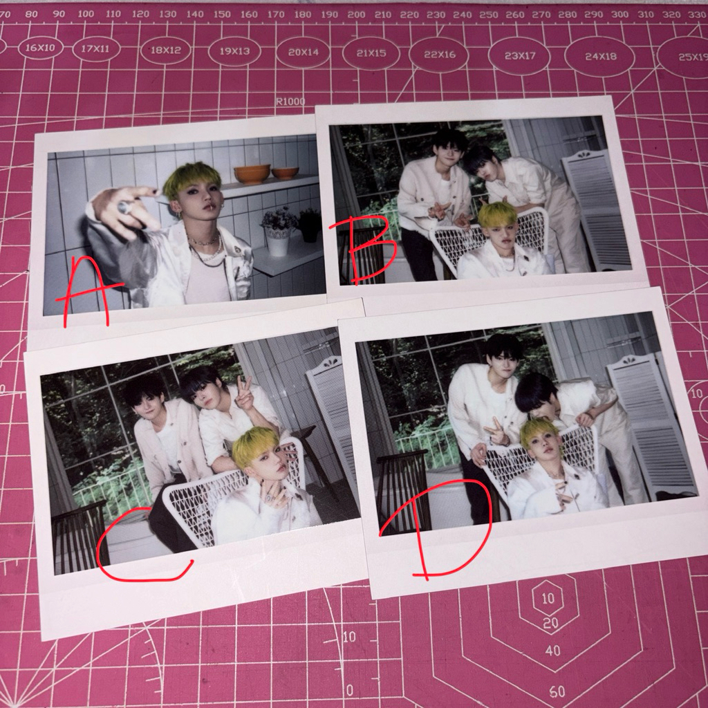 polaroid Treasure Official