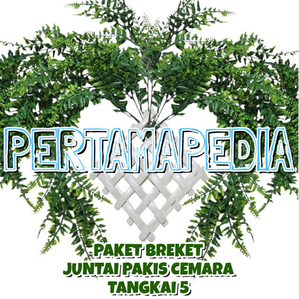 PAKET BREKET DAN JUNTAI PAKIS CEMARA X5/ Juntai Bunga Artificial/ Juntai Bunga Daun Rambat Artificia