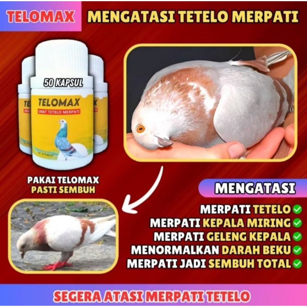TELOMAX Obat TETELO/Telo Merpati