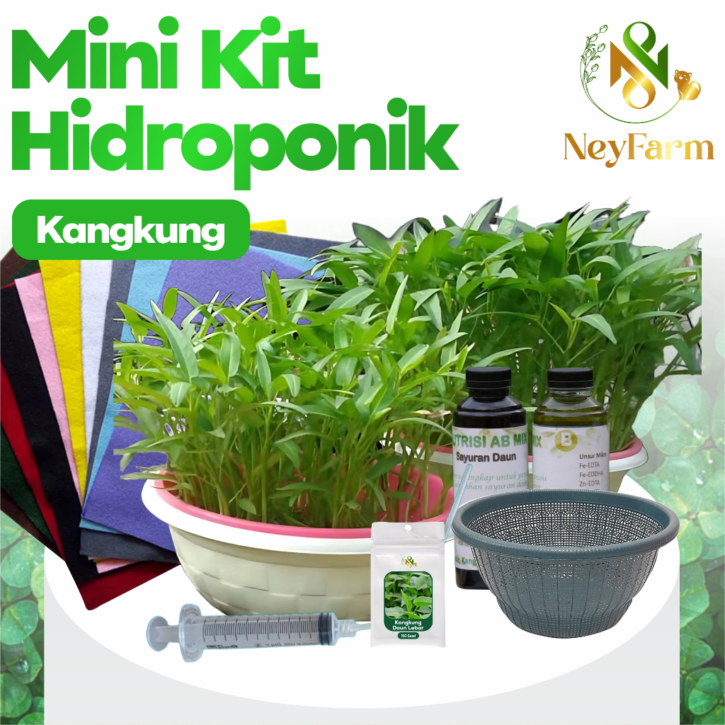 Mini Kit Kangkung Hidroponik Paket Hidroponik Kangkung Lengkap