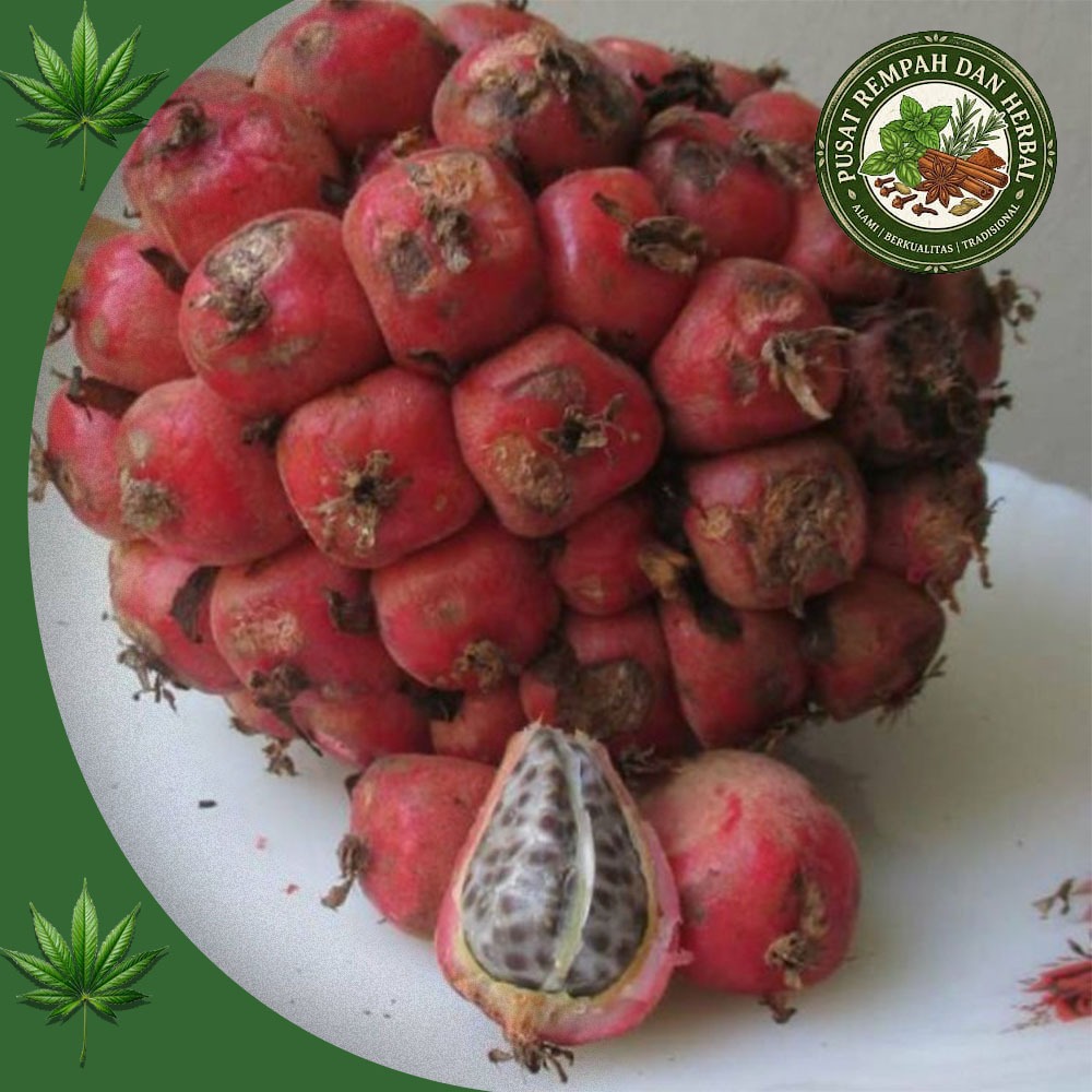 buah honje pink honje segar fresh
