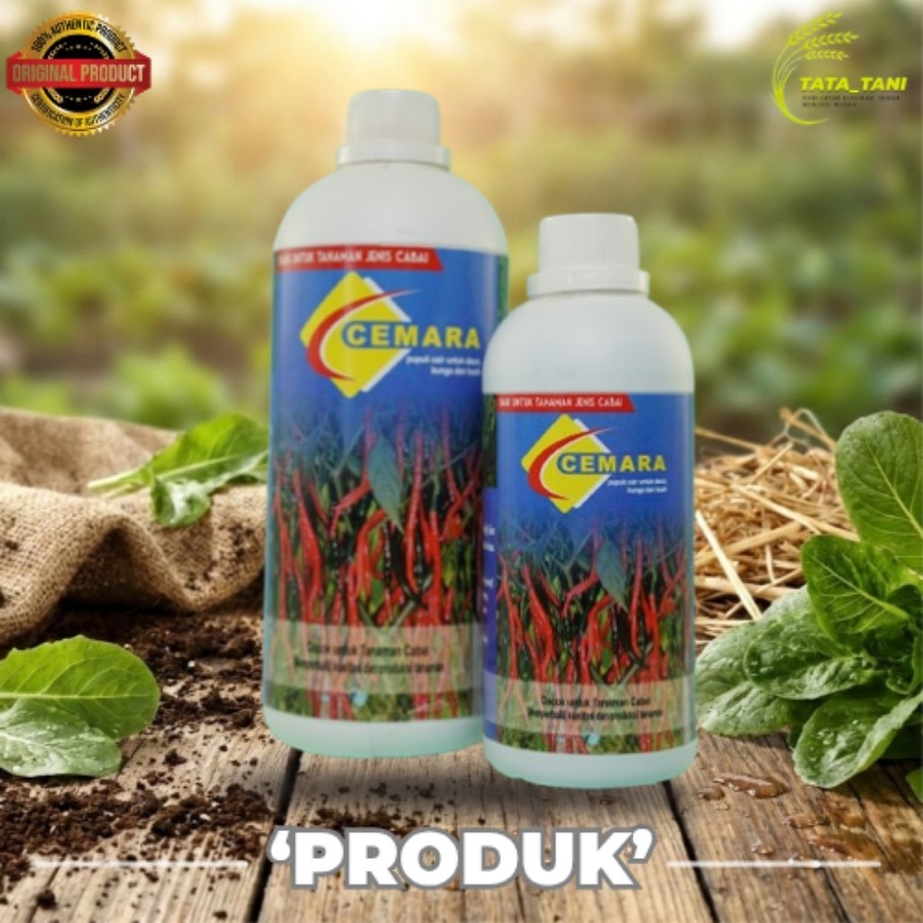 CEMARA CABE PUPUK : NITRIGEN 20%+PO 10%+KO 10%+ZPT 10MG%