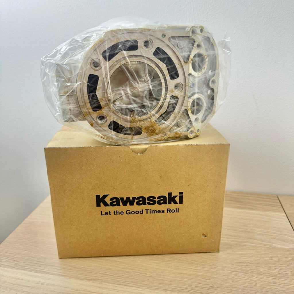 Blok Ninja Original Kawasaki 1855 Silver