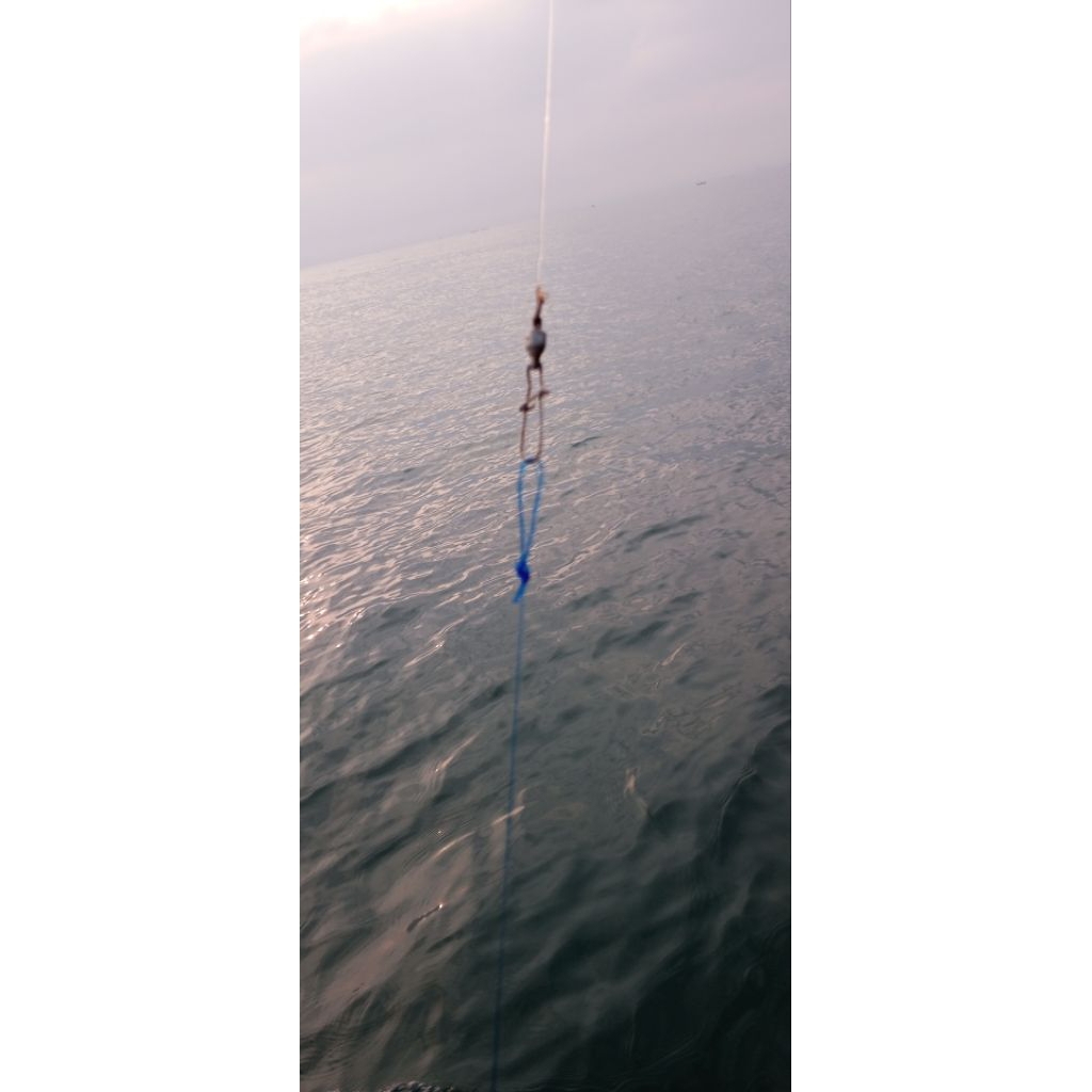 WARNA Rangkaian Kail Pancing Dasaran Rumpon Laut