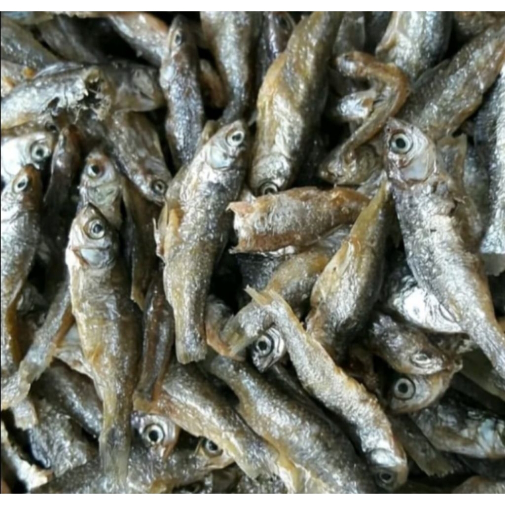 ikan bilih danau Singkarak asli ikan bilih singkarak asli ori kualitas super