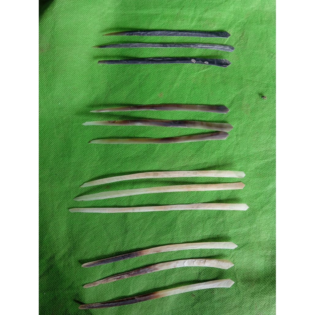 Simpai tanduk Simpay tanduk asli tanduk kerbau tanduk sapi 200x5x2mm