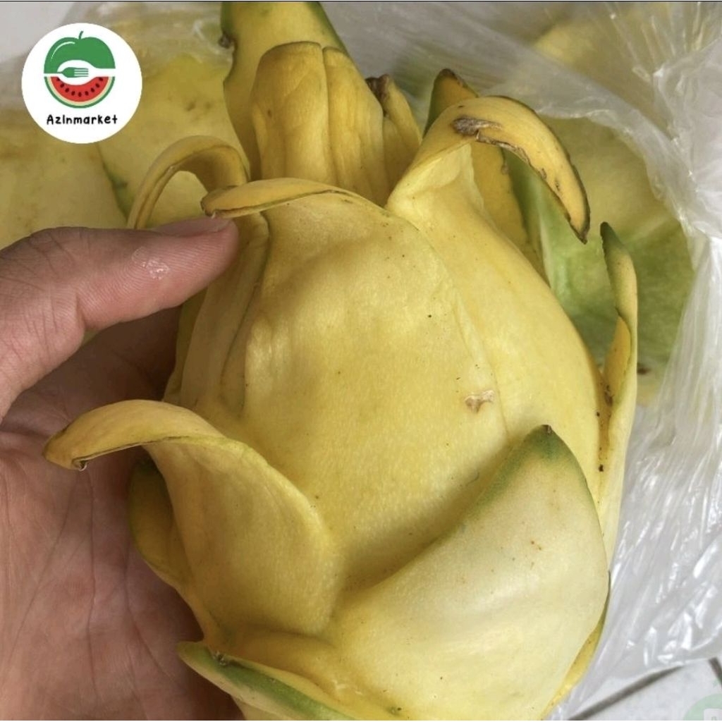Buah Naga Kuning Lokal Super / Buah Naga Kuning/1 Kg