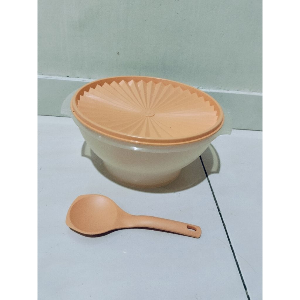 tupperware large rice bowl, NEW
