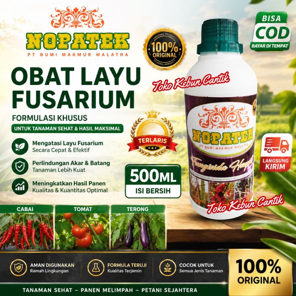 NOPATEK Obat Layu Mendadak Cabai Tomat Terong Paling Ampuh Bisa COD