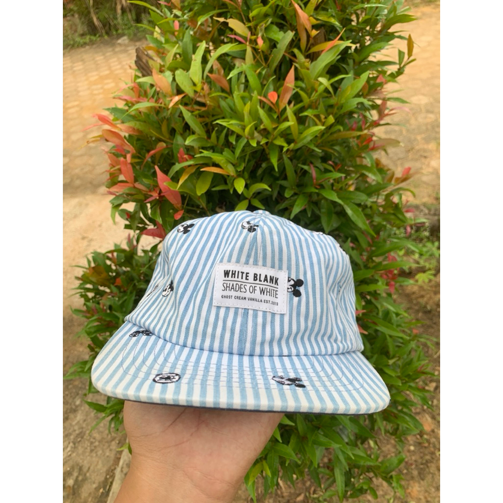 topi disney second