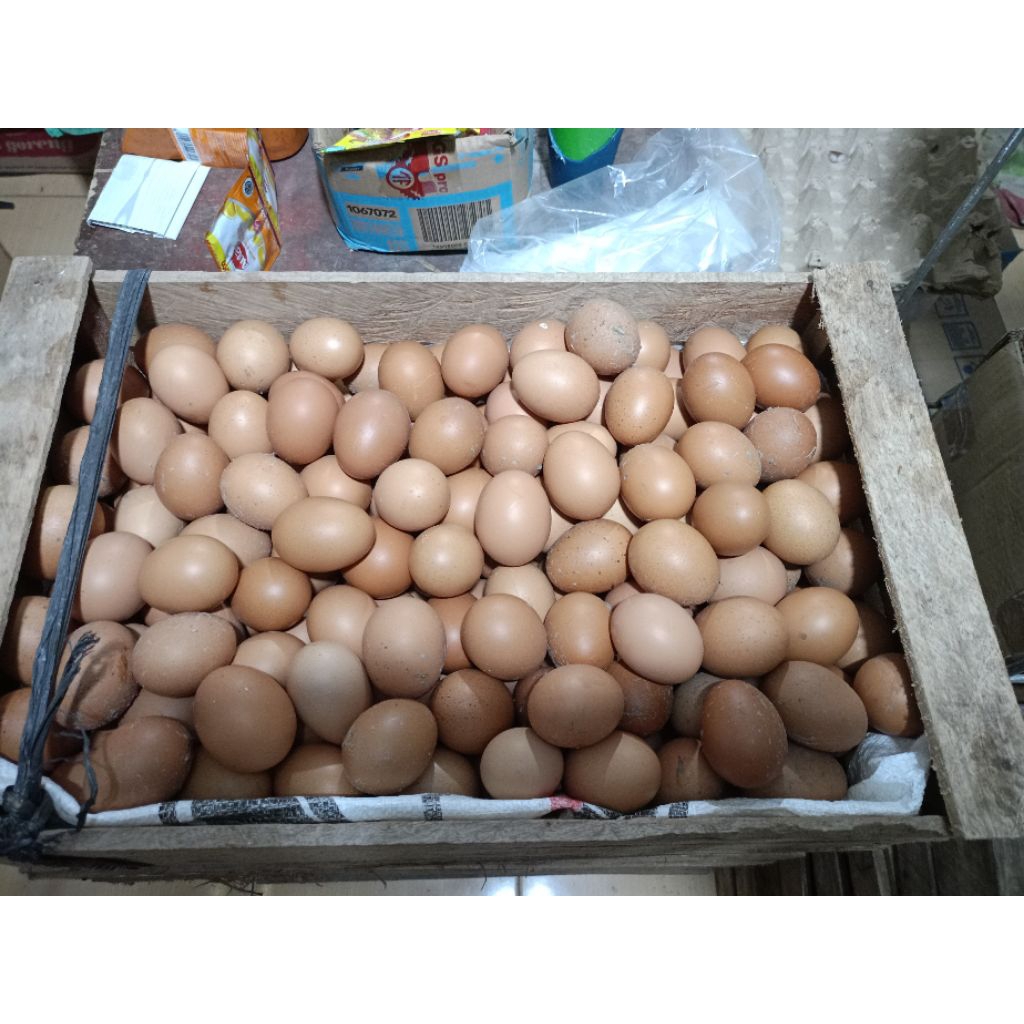 TELOR_AYAM_OMEGA_1kg