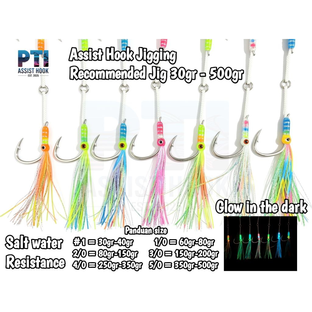 Assist hook PTI Assist Hook