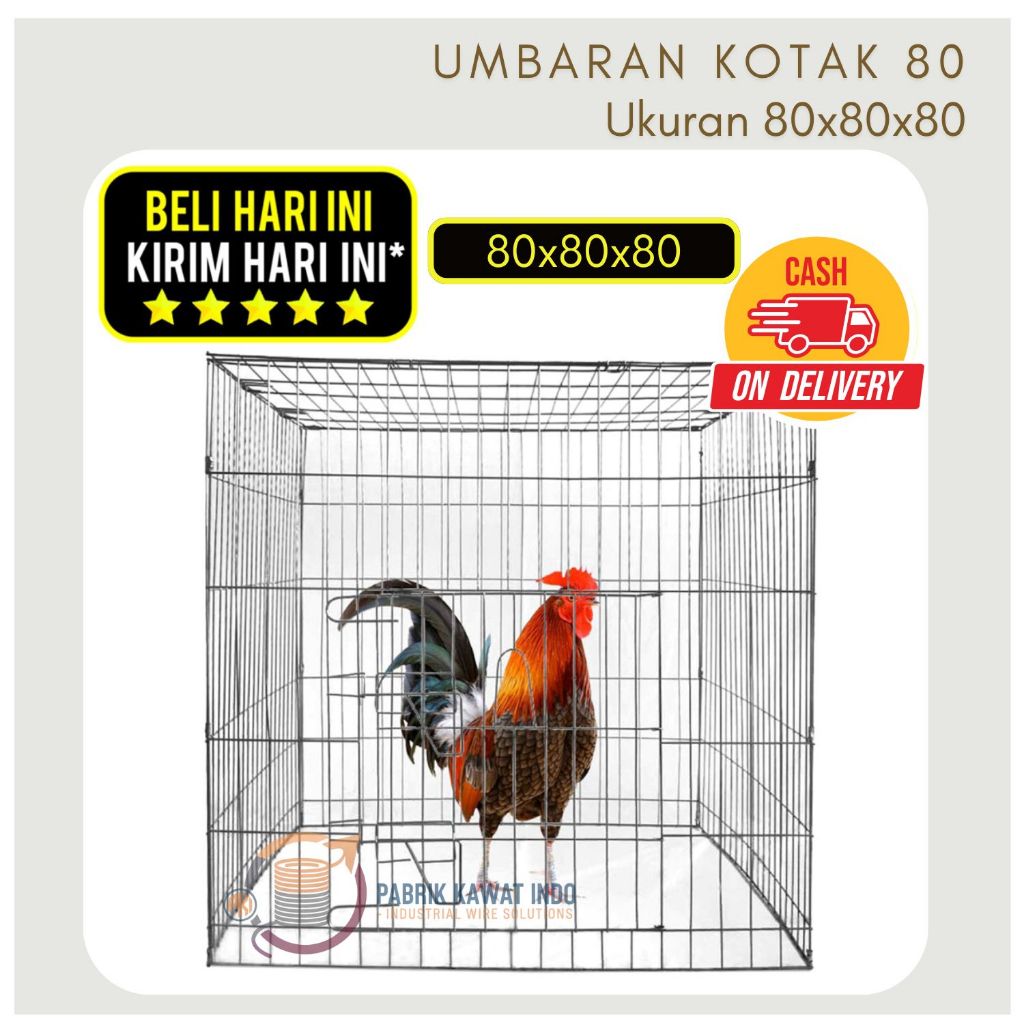 Kandang Ayam Kawat GALVANIS MURAH Ukuran 80x80x80cm Untuk Ayam BANGKOK l HARGA PABRIK l ANTI KARAT M