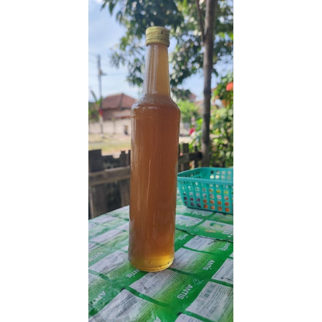 madu hutan Sumbawa asli botol marjan