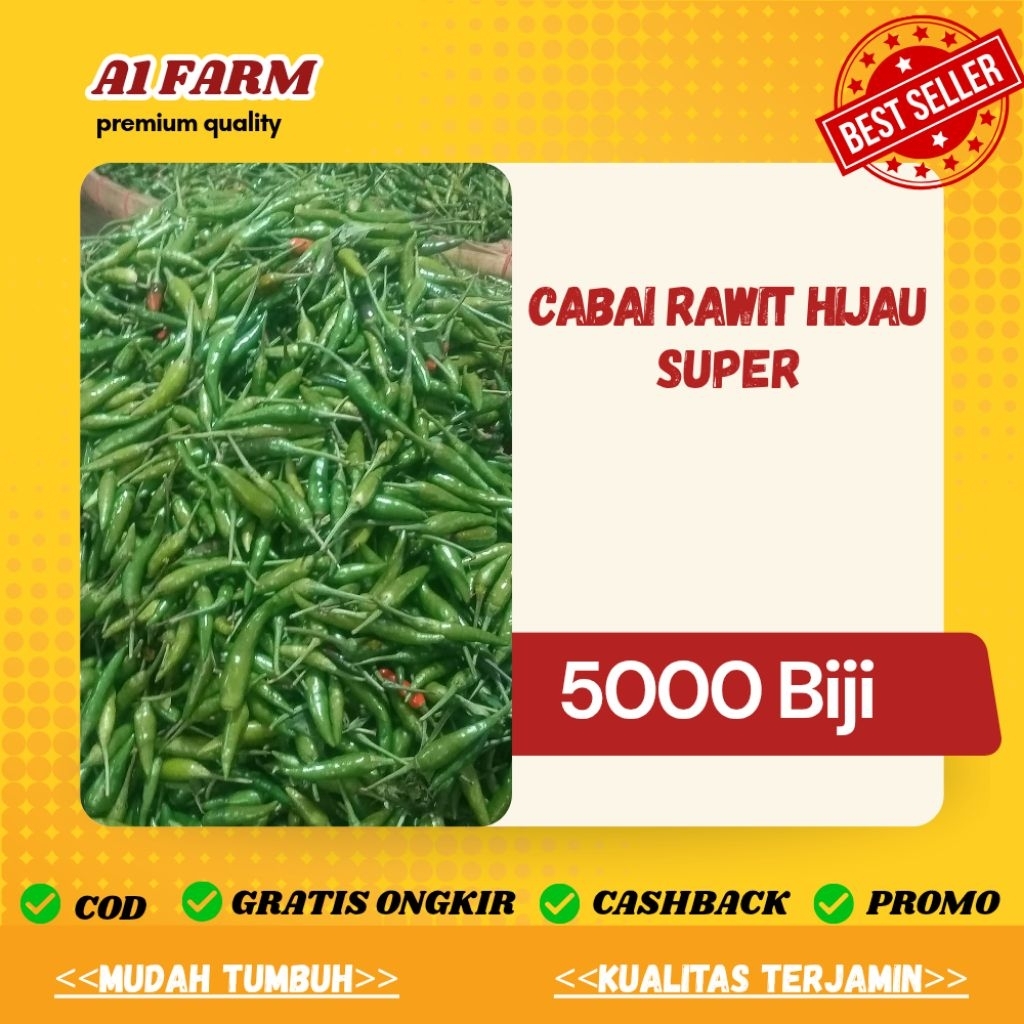 BIJI BENIH CABAI RAWIT HIJAU SUPER (5000 BIJI)