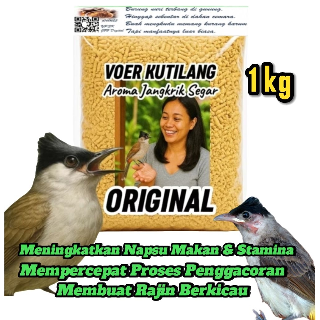 Voer Burung Kutilang. Aroma Jangkrik. Makanan Burung Kutilang Baret Hitam.