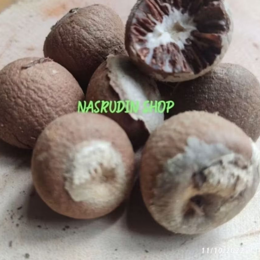 BIJI PINANG KUPAS KERING UTUH (PERBIJI) BIJI BUAH PINANG ASLI BANYAK MANFAAT