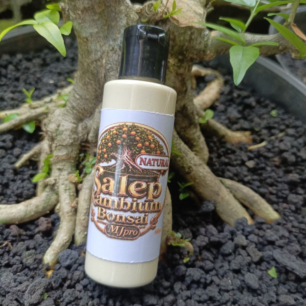 DBS Salep kambium Bonsai MJpro NATURAL botol transparan 60ml