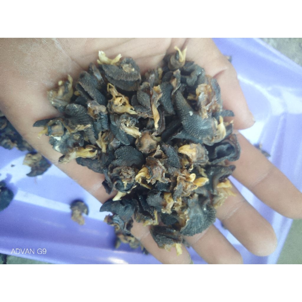 daging bekicot kering/ krecek bekicot harga/110gr siap kirim