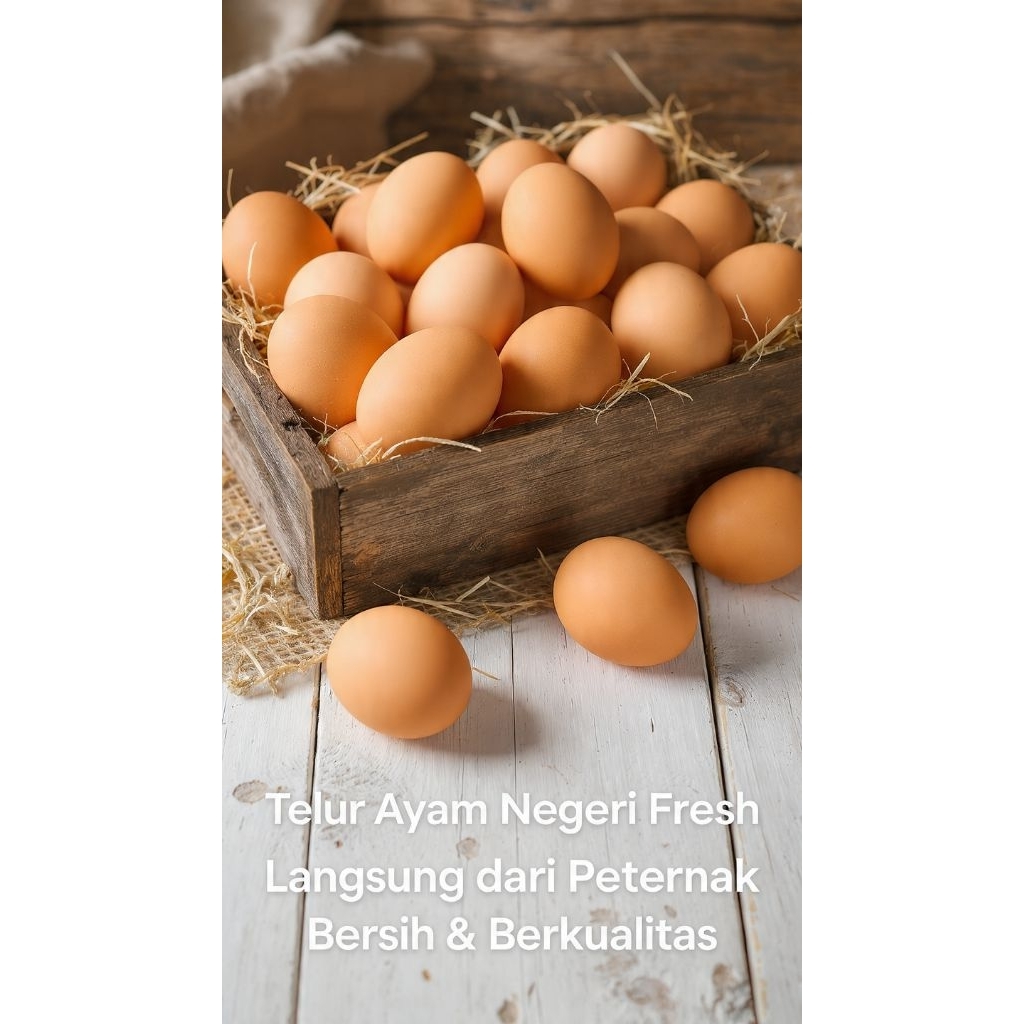 telur ayam negri