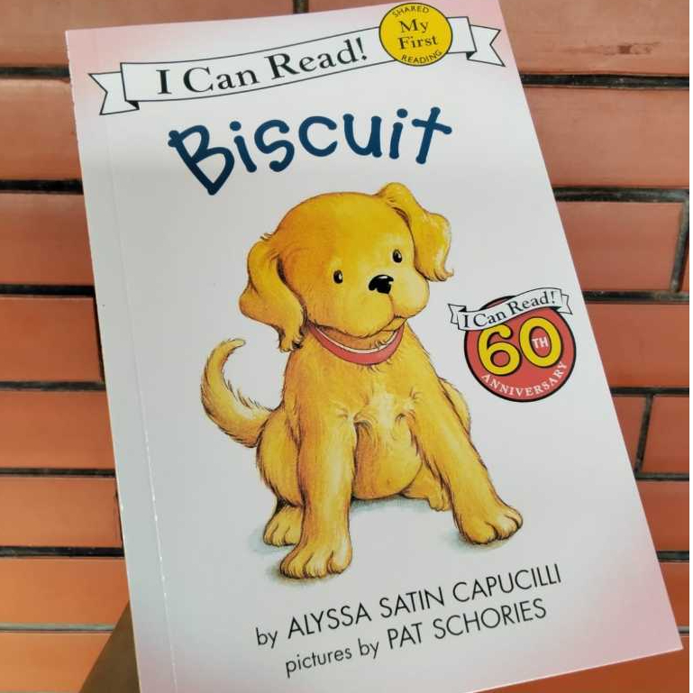 I Can Read My First Reading Biscuit Series Buku Pembelajaran Anak Usia Dini Bahasa Inggris Preloved