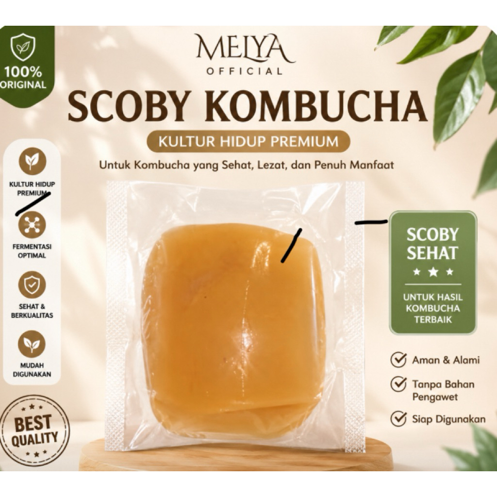 SCOBY Kombucha / Bibit Kombucha dan Starter Kombucha Fermentasi
