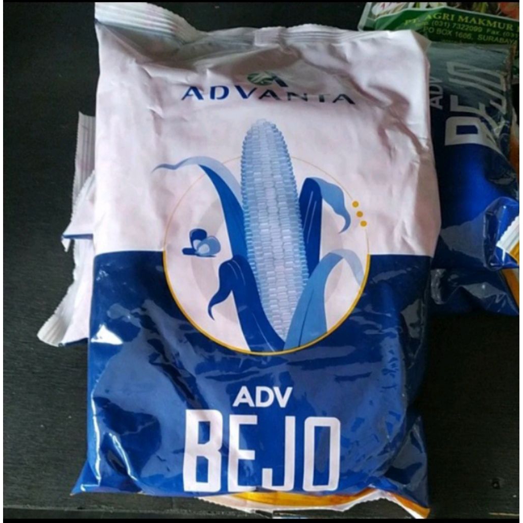 BENIH JAGUNG HIBRIDA ADV BEJO KEMASAN 1KG | ADVANTA BEJO ORIGINAL