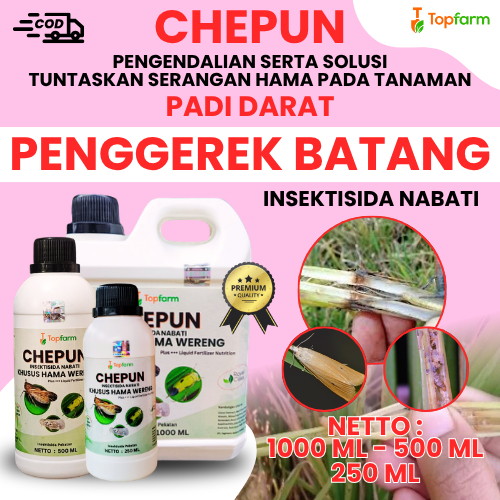 Insektisida Pembasmi Hama Penggerek Batang Padi Darat / Obat Ulat Batang Padi / Pestisida Pengendali