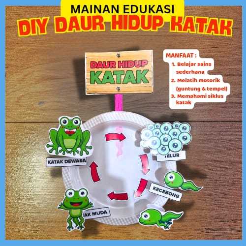 Ideasya Daur Hidup Katak Anak Paud TK SD – Lifecycle Katak IPA Prakarya Montessori