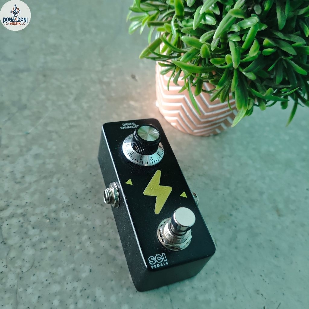 SCI Pedal Enhancer