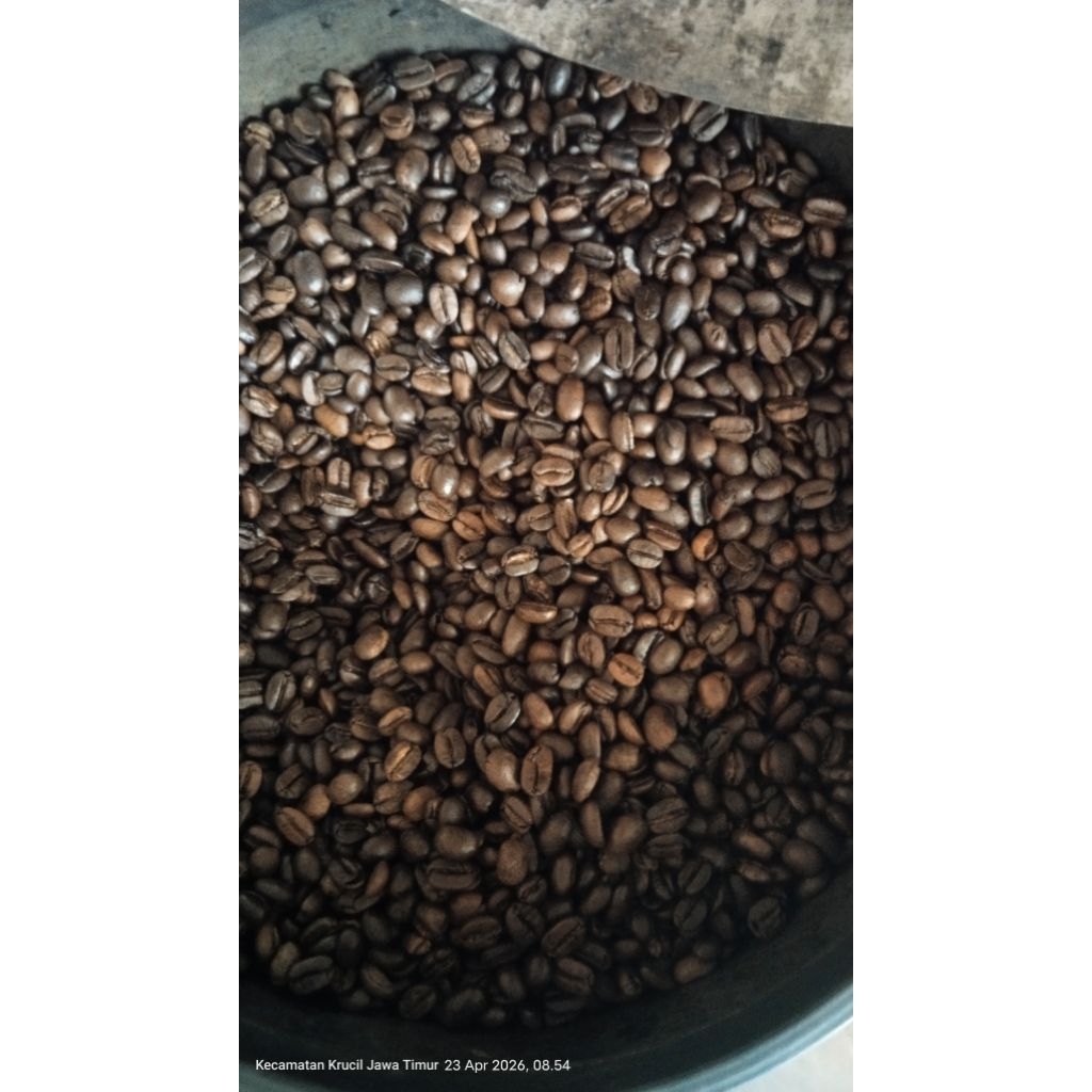 roas bean arabica | roasting arabika | biji kopi arabika sangrai 1 kg
