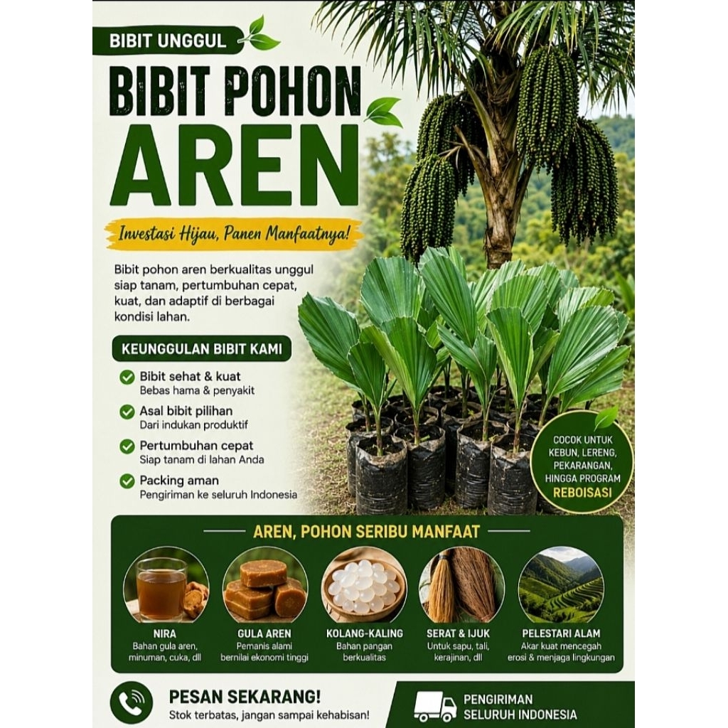 Pohon Aren