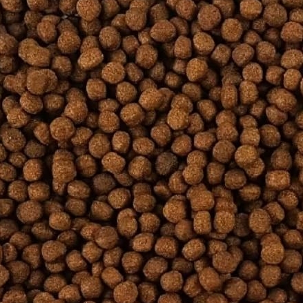pelet pakan ikan terapung lele mas nila 1kg