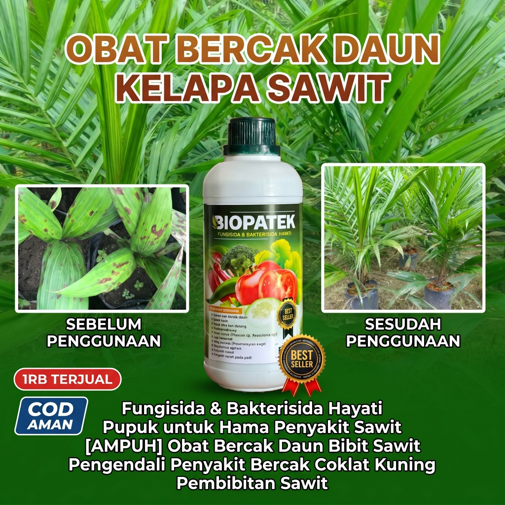 obat bercak bibit sawit, fungisida sawit ampuh, daun sawit bercak kuning, obat jamur bibit sawit, pu