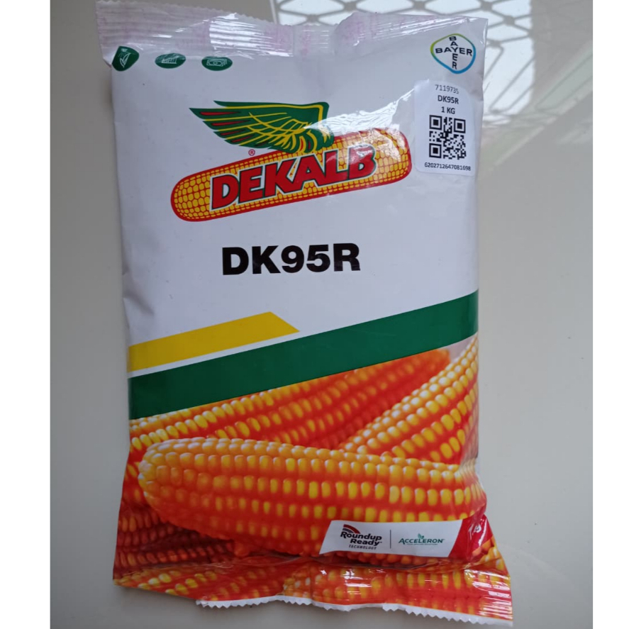 Benih Jagung DEKALB DK95R Isi 1Kg