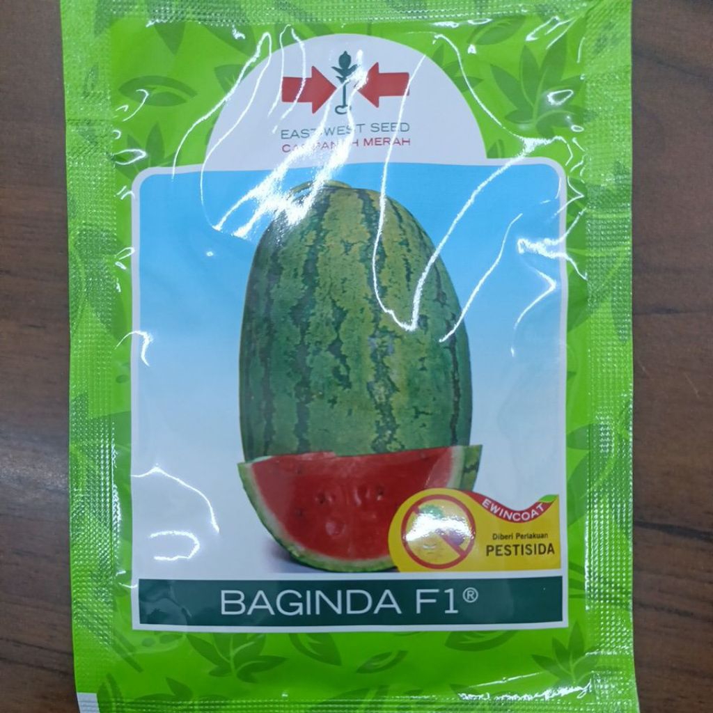 BENIH SEMANGKA BAGINDA F1 380 BUTIR