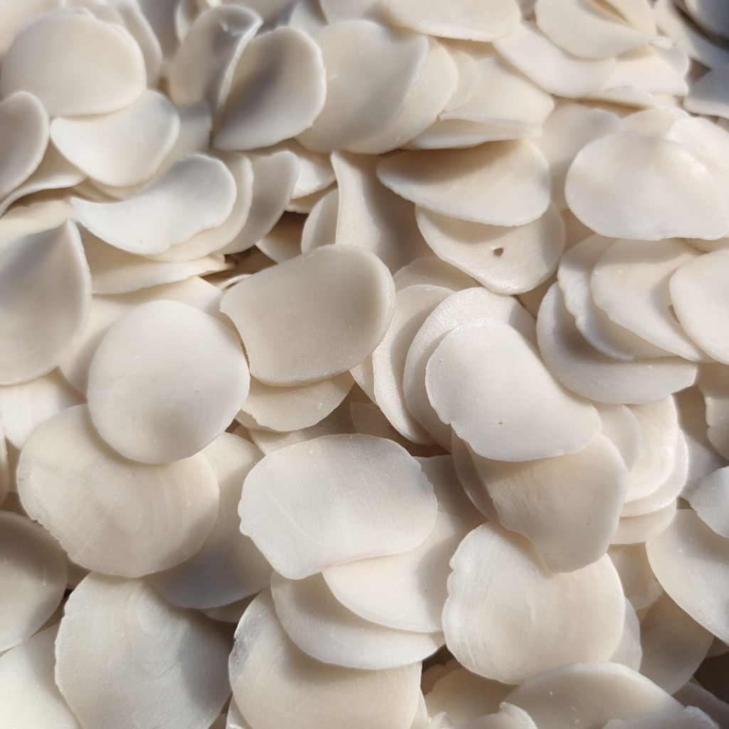 Krupuk Bawang Putih Mentah KRUPUK BAWANG PUTIH MENTAH krupuk mentah Snack Murah Makanan Food