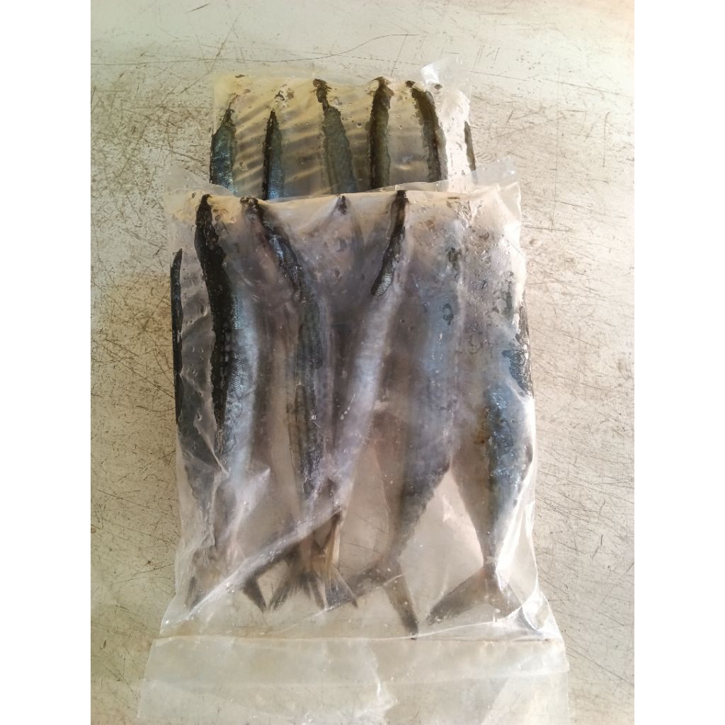 Ikan Kembung Kuring kemasan 1kg/pack