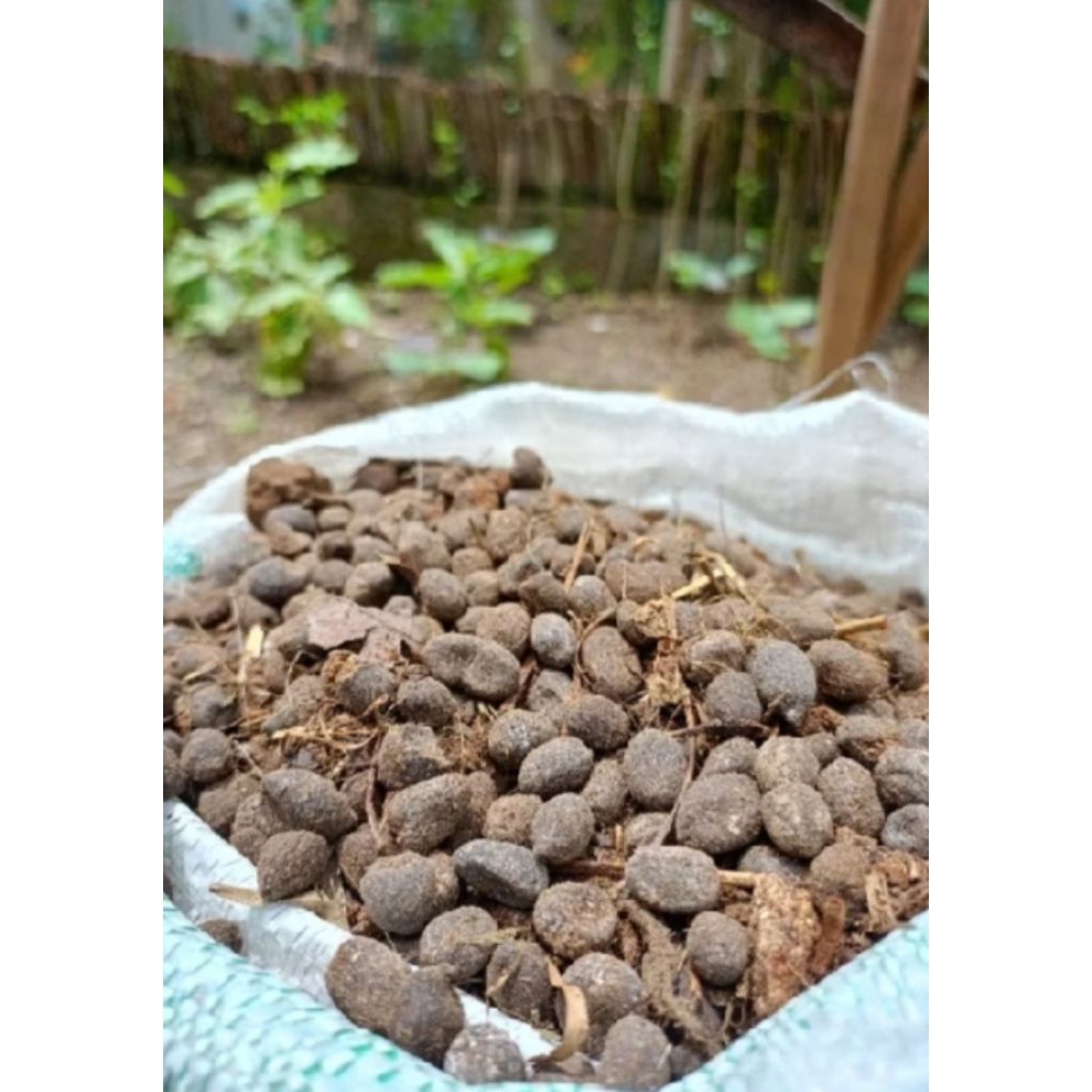 kohe kambing1kg