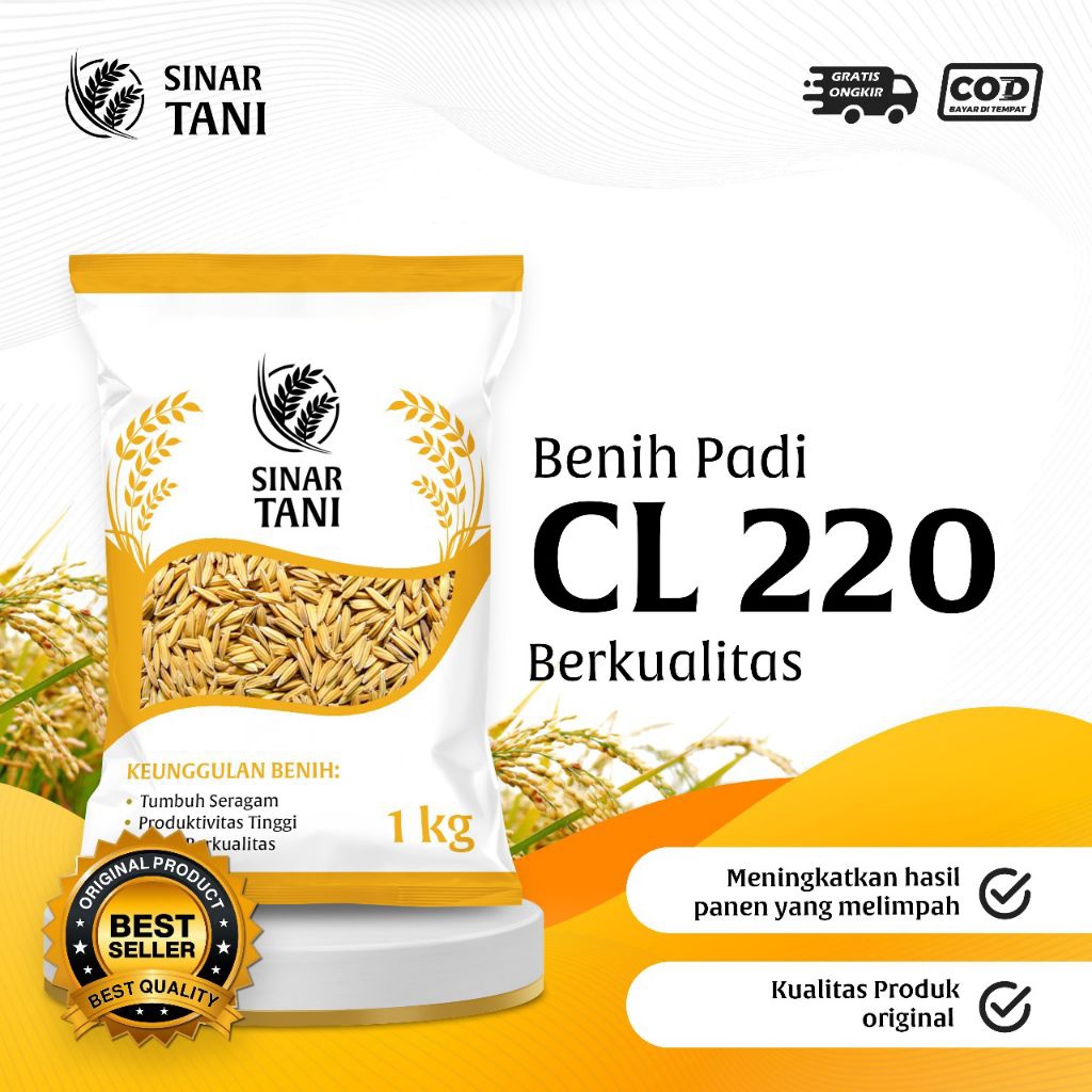 Benih padi bibit padi CL220 kualitas premium kemasan 1 kg