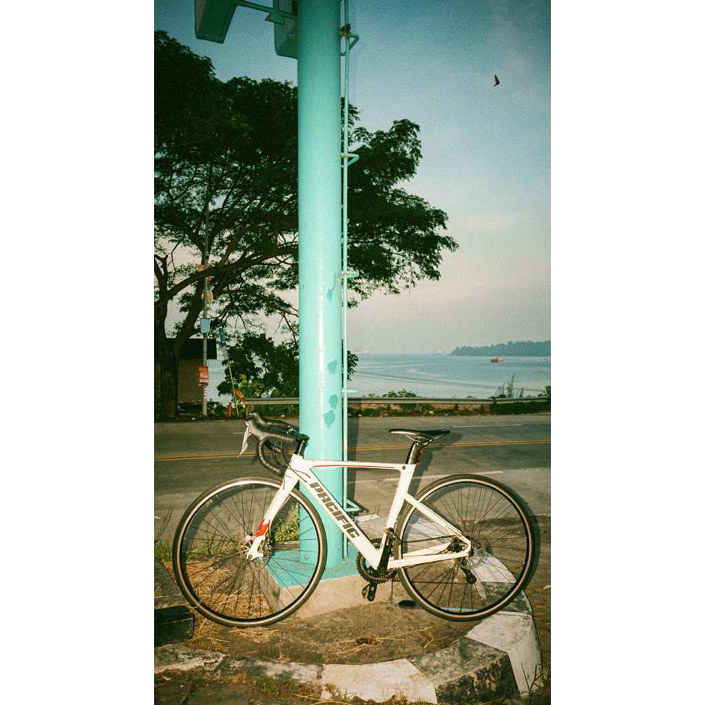 Pacific Paradox RS Roadbike Size 48 Tiagra