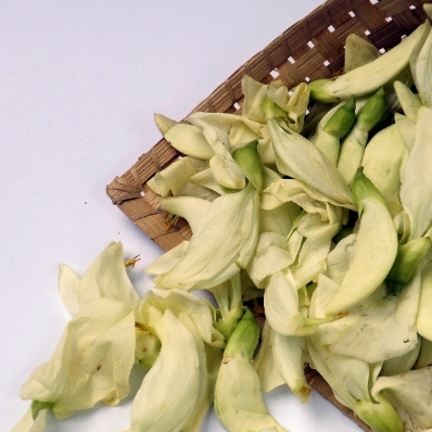 Sayur kembang turi fresh, sayur daun turi segar, bunga turi